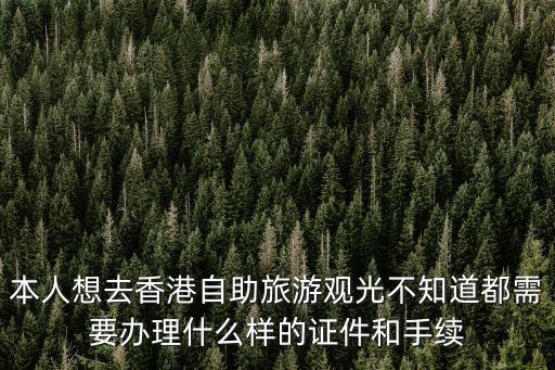 本人想去香港自助旅游觀光不知道都需要辦理什么樣的證件和手續
