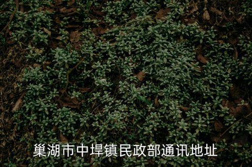 巢湖市中垾鎮民政部通訊地址