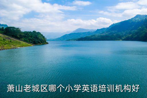 蕭山老城區哪個小學英語培訓機構好