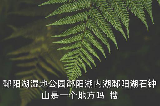 鄱陽湖濕地公園鄱陽湖內湖鄱陽湖石鐘山是一個地方嗎  搜