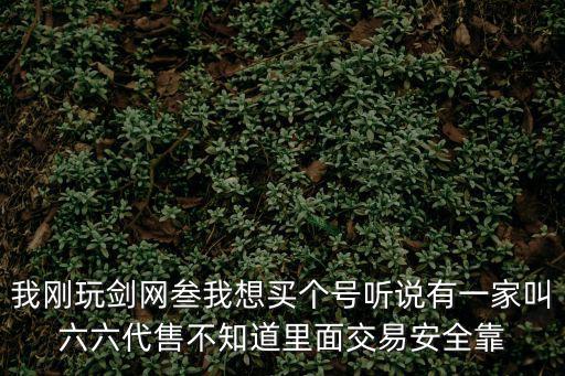 我剛玩劍網(wǎng)叁我想買個號聽說有一家叫六六代售不知道里面交易安全靠