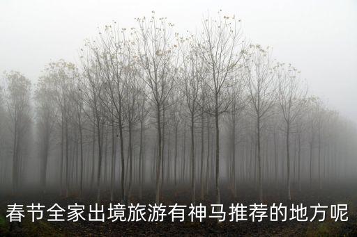 春節全家出境旅游有神馬推薦的地方呢