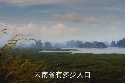 云南省有多少人口