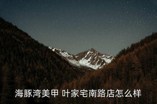 海豚灣美甲 葉家宅南路店怎么樣
