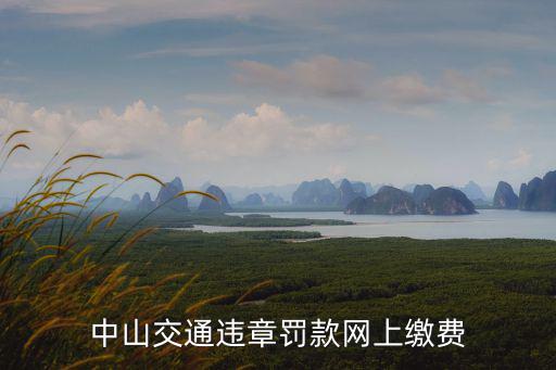 中山交通違章罰款網上繳費