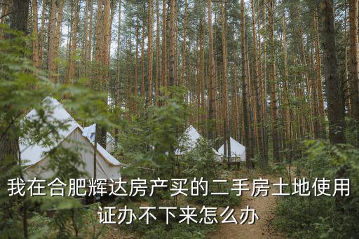 我在合肥輝達房產買的二手房土地使用證辦不下來怎么辦