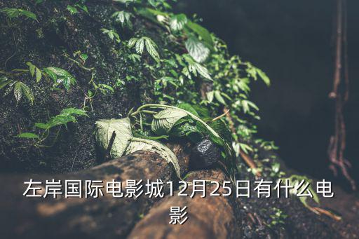 左岸國(guó)際電影城12月25日有什么電影
