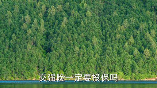 交強險一定要投保嗎