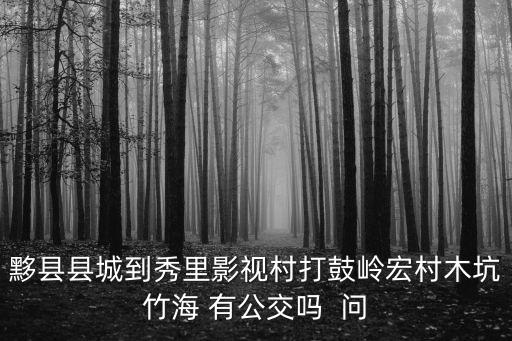 黟縣縣城到秀里影視村打鼓嶺宏村木坑竹海 有公交嗎  問