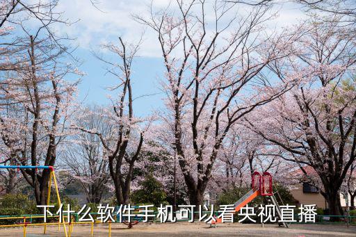 央視頻道直播，在電腦上怎么看央視直播
