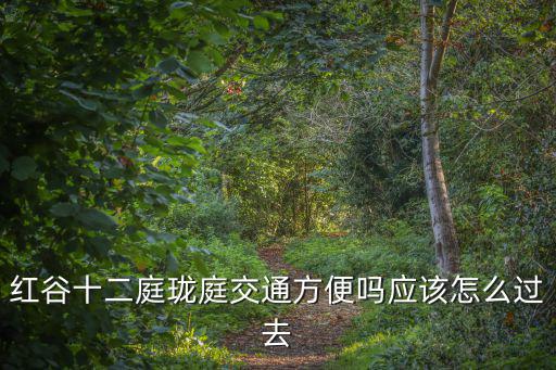 紅谷十二庭瓏庭交通方便嗎應該怎么過去