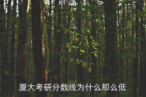 廈大考研分數線為什么那么低