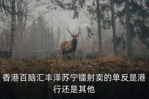 香港百腦匯豐澤蘇寧鐳射賣的單反是港行還是其他