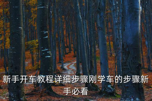 新手開車教程詳細步驟剛學車的步驟新手必看