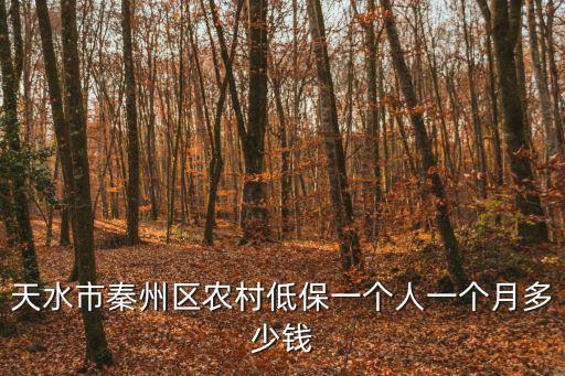 天水市秦州區農村低保一個人一個月多少錢