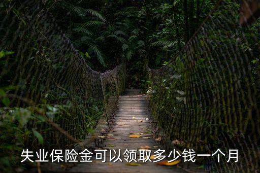 失業保險金可以領取多少錢一個月