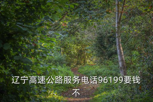 遼寧高速公路服務電話96199要錢不