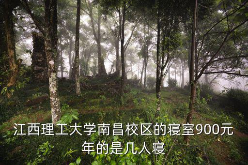 江西理工大學南昌校區的寢室900元年的是幾人寢