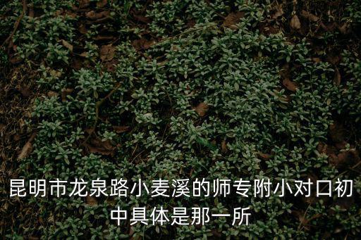 昆明市龍泉路小麥溪的師專附小對口初中具體是那一所