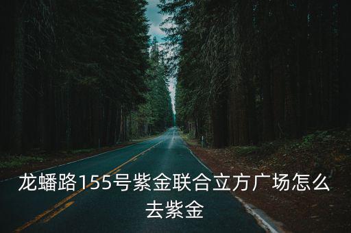 龍蟠路155號紫金聯合立方廣場怎么去紫金