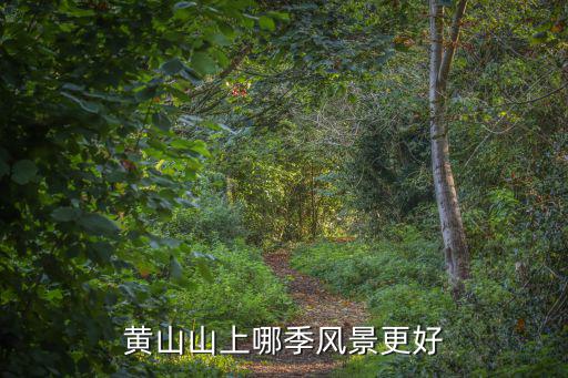 黃山山上哪季風(fēng)景更好