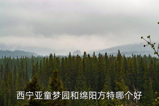 西寧亞童夢園和綿陽方特哪個好