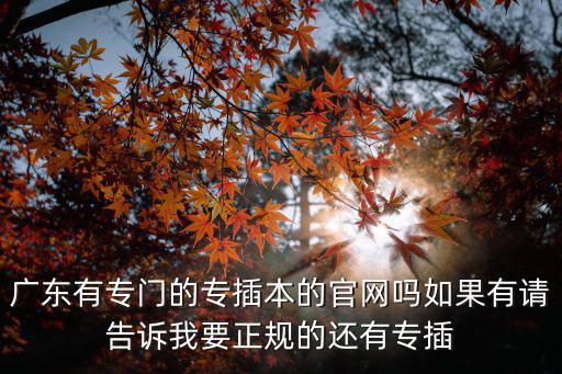 廣東有專門的專插本的官網嗎如果有請告訴我要正規的還有專插