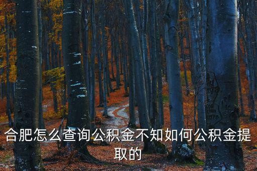 合肥怎么查詢公積金不知如何公積金提取的
