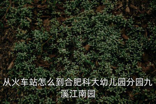 從火車站怎么到合肥科大幼兒園分園九溪江南園