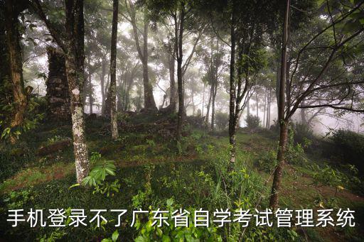 手機登錄不了廣東省自學考試管理系統