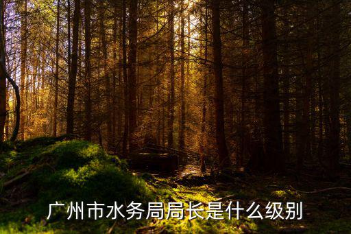 廣州市水務局局長是什么級別