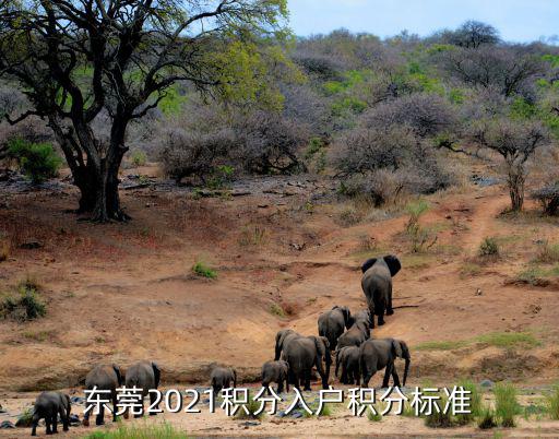 東莞2021積分入戶積分標準