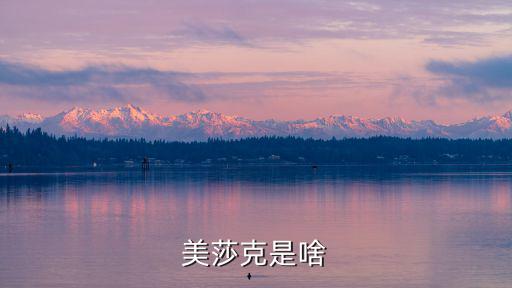 美莎克，美莎克是啥