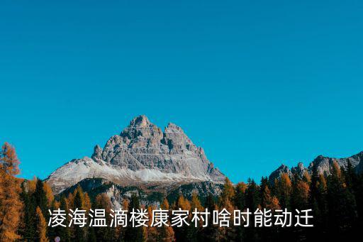 康家村，康家村的介紹