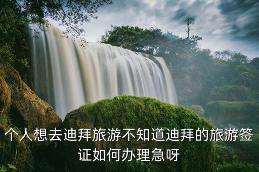 個(gè)人想去迪拜旅游不知道迪拜的旅游簽證如何辦理急呀