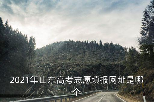 2021年山東高考志愿填報網址是哪個