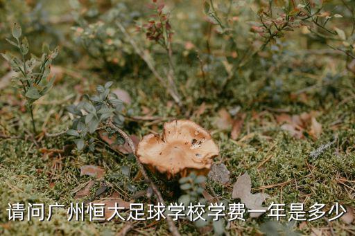 請問廣州恒大足球?qū)W校學(xué)費(fèi)一年是多少