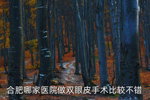合肥哪家醫院做雙眼皮手術比較不錯