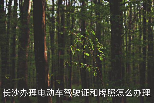 長沙辦理電動(dòng)車駕駛證和牌照怎么辦理