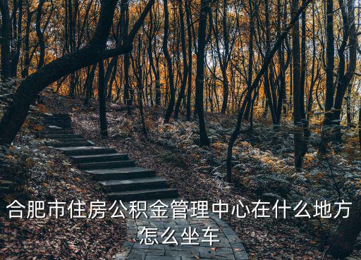 合肥市公積金中心，合肥住房公積金在哪兒政務區市政府大樓那里有分中心嗎