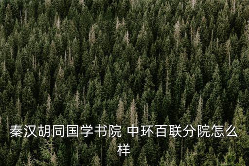 秦漢胡同國學書院 中環百聯分院怎么樣