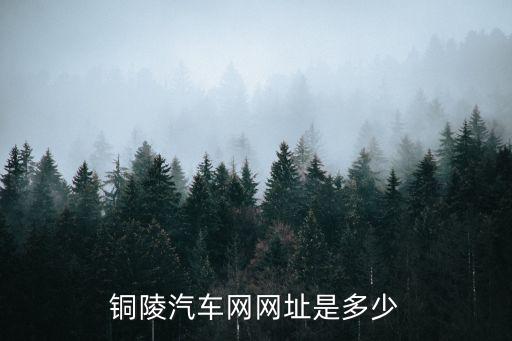 銅陵汽車網網址是多少