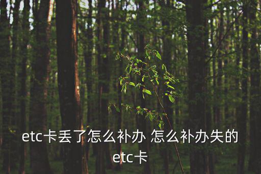 etc卡丟了怎么補辦，ETC卡丟了怎么補辦