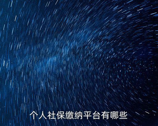 個人社保繳納平臺有哪些