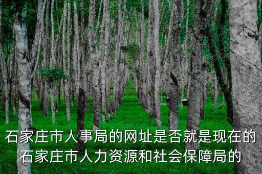 石家莊市人事局的網(wǎng)址是否就是現(xiàn)在的石家莊市人力資源和社會(huì)保障局的