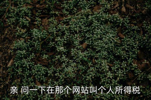 親 問一下在那個網站叫個人所得稅