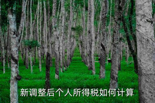 新調(diào)整后個(gè)人所得稅如何計(jì)算