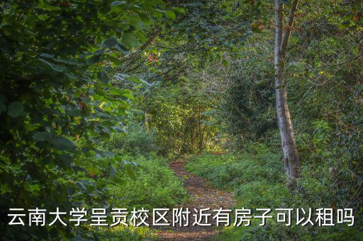 云南大學呈貢校區附近有房子可以租嗎