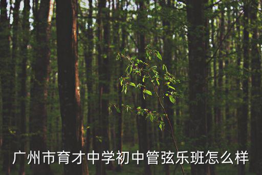 廣州市育才中學(xué)初中管弦樂班怎么樣