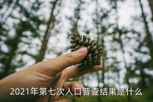 第七次人口普查結果，2021年第七次人口普查結果是什么
